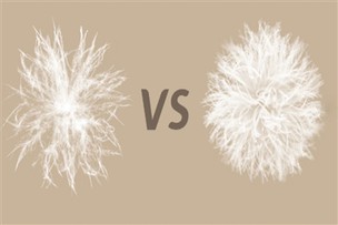 ¿Cuánto sabes sobre las chaquetas de plumas?